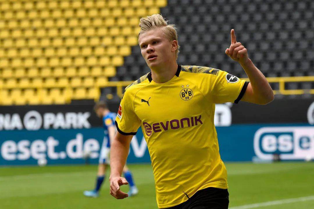 反抢回合的 反抢回合的