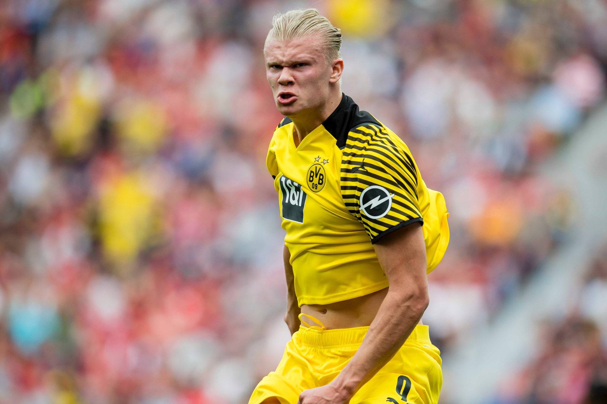 合规与替代 合规与替代